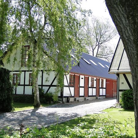 Dyssegaard B&B Skallerup エクステリア 写真