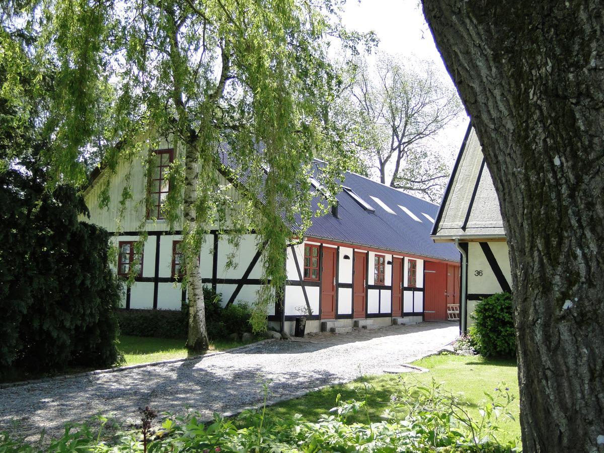 Dyssegaard B&B Skallerup エクステリア 写真