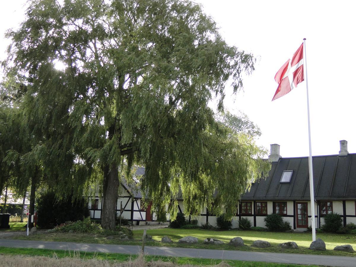 Dyssegaard B&B Skallerup エクステリア 写真
