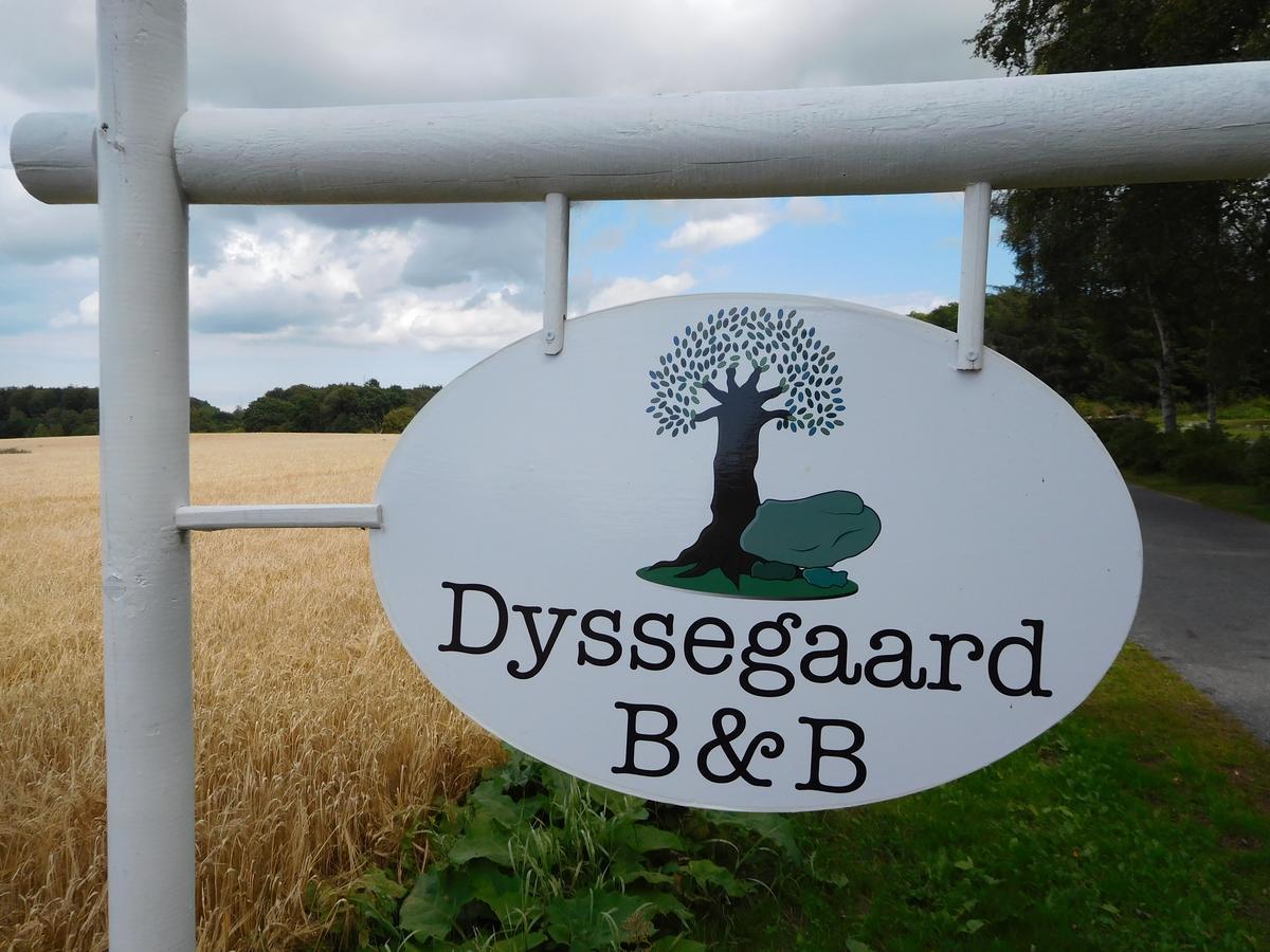 Dyssegaard B&B Skallerup エクステリア 写真